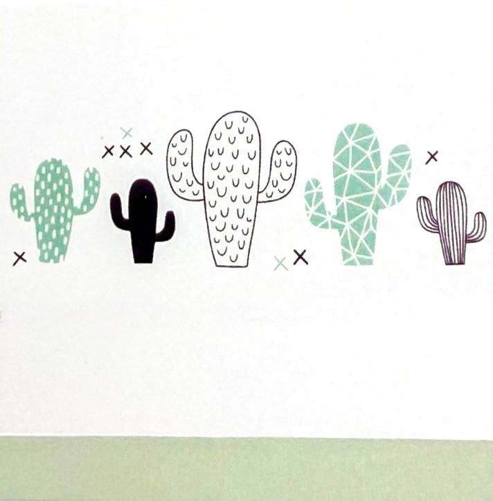 Llençol Cactus 40 — Sonpetit